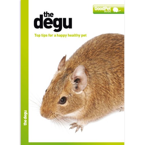 The Degu - Good Pet Guide