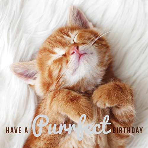 Have A Purrfect Birthday