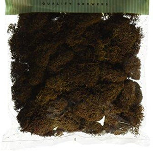 Quality Growers Preserved Reindeer Moss 108.5 Cubic Inches-Walnut