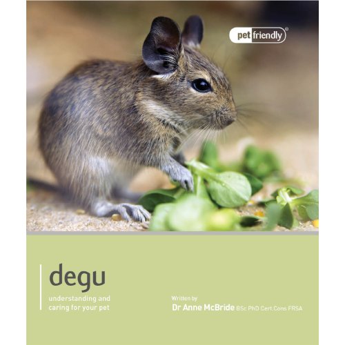 Degu - Pet Friendly