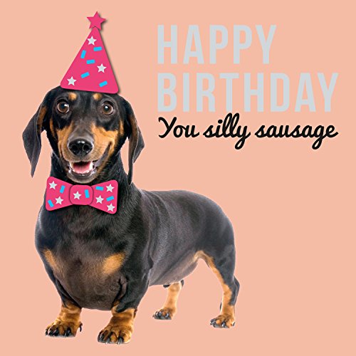 Happy Birthday You Silly Sausage