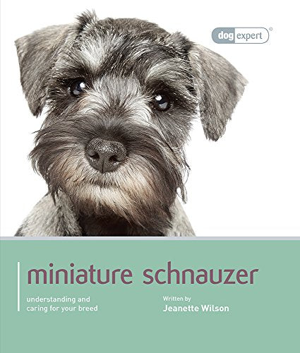 Miniature Schnauzer - Dog Expert