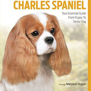 Cavalier King Charles Spaniel Best Of Breed - Paperback