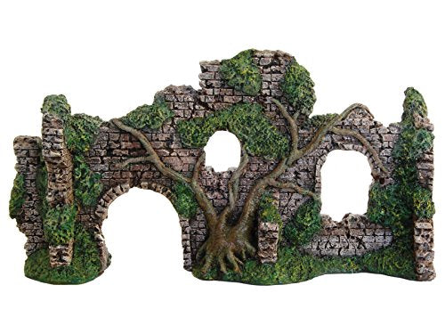 Wall With Roots | Fadulla