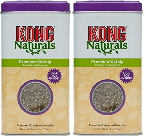 Kong Catnip Premium (2Oz)