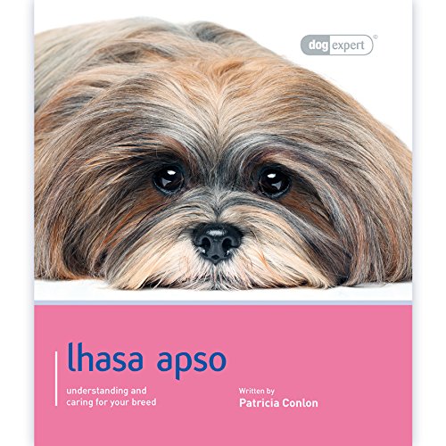 Lhasa Apso - Dog Expert