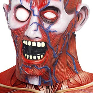 Smiffys Anatomy Man Mask