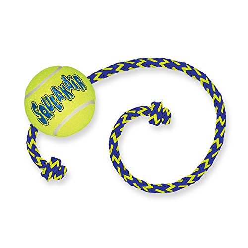 Kong Air Squeaker Tennis Ball W/Rope Medium | Gor Pets