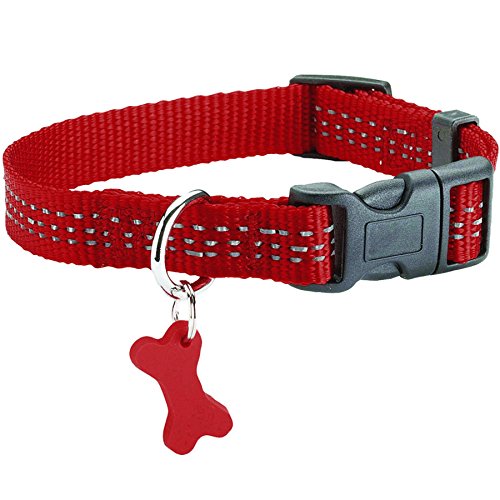 Collar Safe Red 10