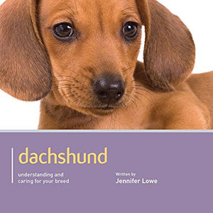 Dachshund - Dog Expert