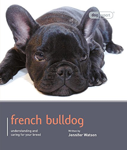 French Bulldog - Dog Expert