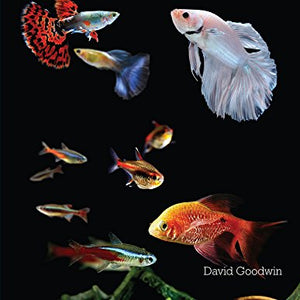 The Tropical Fish Handbook