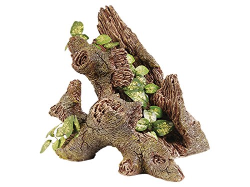 Trunk With Silk Plant | Fadulla