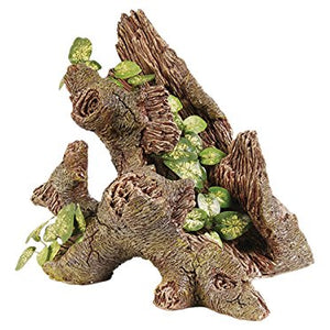 Trunk With Silk Plant | Fadulla