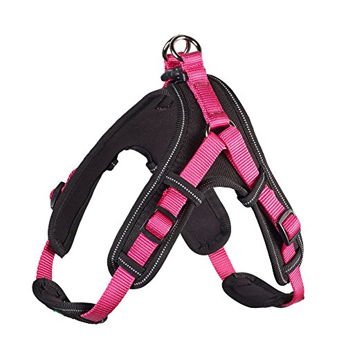 Harness Neoprene Vario Quick M 55-70 Cm, 15 Mm Nylon Raspberry/Neoprene Black | Hunter