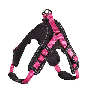 Harness Neoprene Vario Quick Xl 79-100 Cm, 25 Mm Nylon Raspberry/Neoprene Black | Hunter
