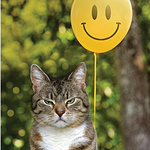 Moody Cat Balloon