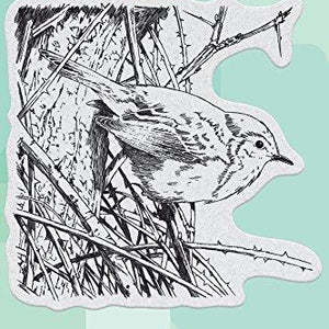 Penny Black Feathers & Twigs Cling Stamps