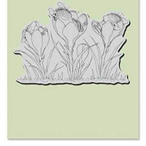 Stampendous House Mouse Cling Rubber Stamp Crocus Nap