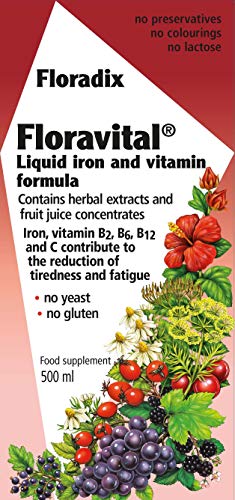 Floradix Floravital Liquid Iron Formula 500 ML