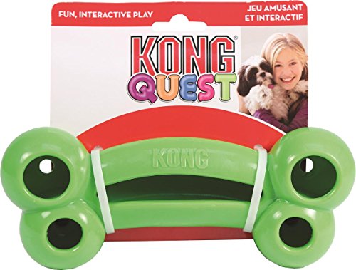 Kong Quest Bone Large | Gor Pets