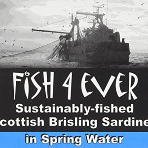 Fish 4 Ever Brisling Sardines in Spring Water 105 g (Pack of 6)