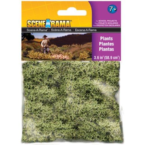 Plants 3.6 Cubic Inches-