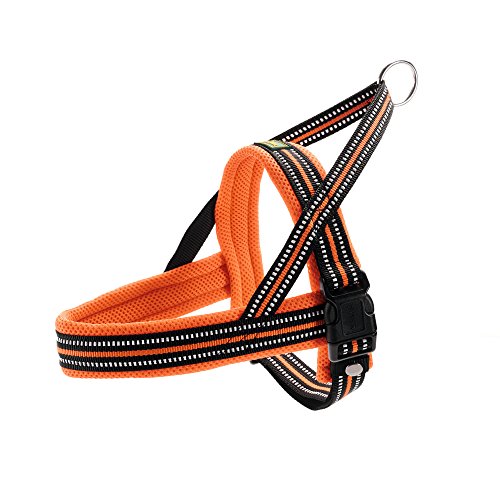 Norwegian Harness Meldal, Xl Mesh, Orange | Hunter