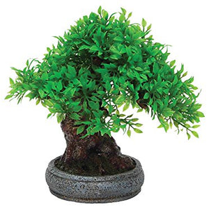 Tree With Pot Base | Fadulla