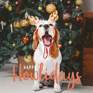 Happy Howlidays