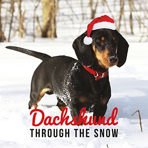 Dachshund Through The Snow