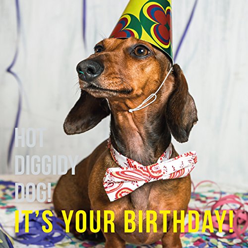 Hot Diggidy Dog! It'S Your Birthday