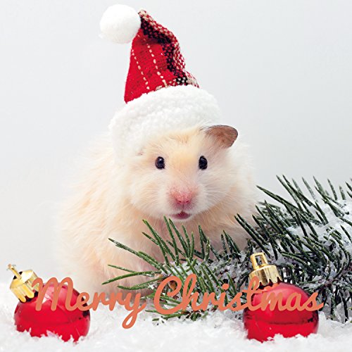 Merry Christmas Hamster