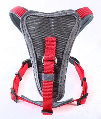 X-Over Harness Red Medium| Doodlebone