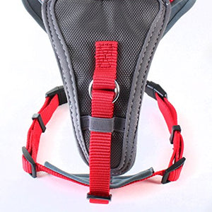X-Over Harness Red Medium| Doodlebone