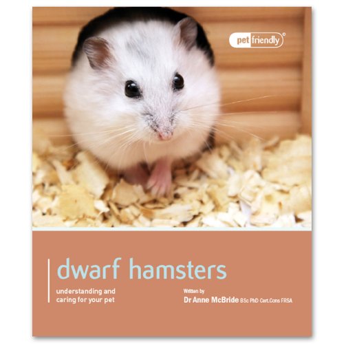 Dwarf Hamsters - Pet Friendly