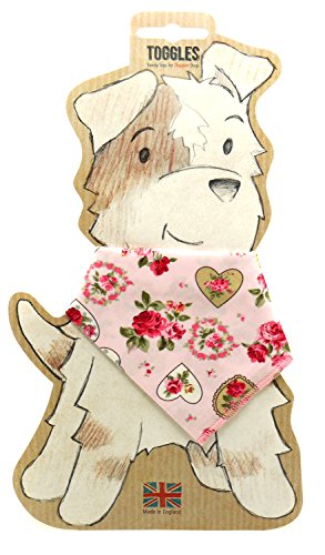 Romance Ml | Phileas Dogg