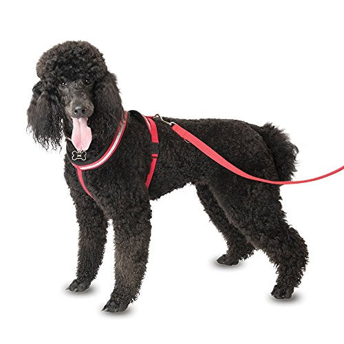 Coa Comfy Harness Red Toy | Gorpets