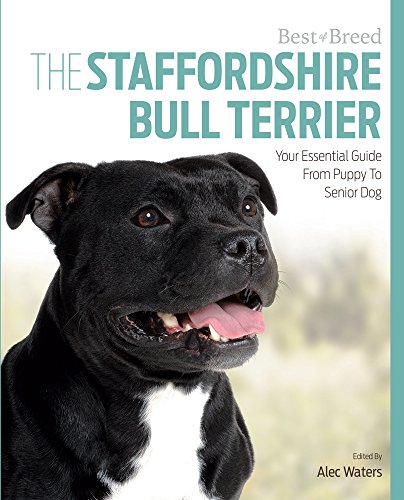Staffordshire Bull Terrier Best Of Breed - Paperback
