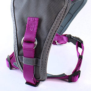 X-Over Harness Purple Medium| Doodlebone