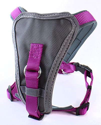 X-Over Harness Purple Large| Doodlebone