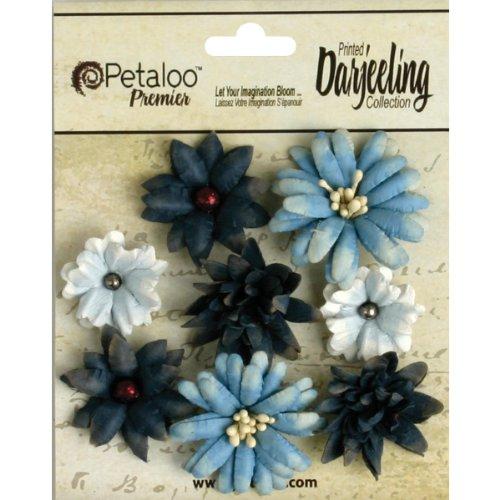 Petaloo 0.75-Inch by 1.5-Inch Darjeeling Teastained Mix Flowers, Mini, Blue, 8-Pack