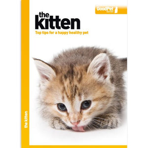The Kitten - Good Pet Guide