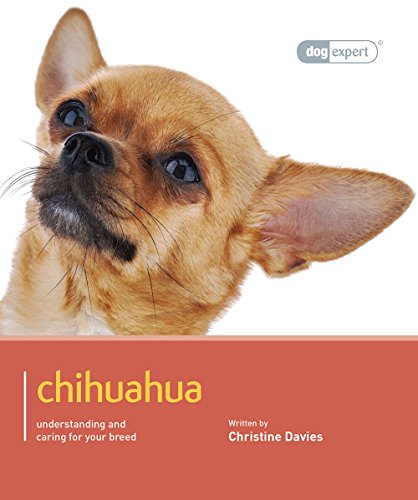 Chihuahua - Dog Expert