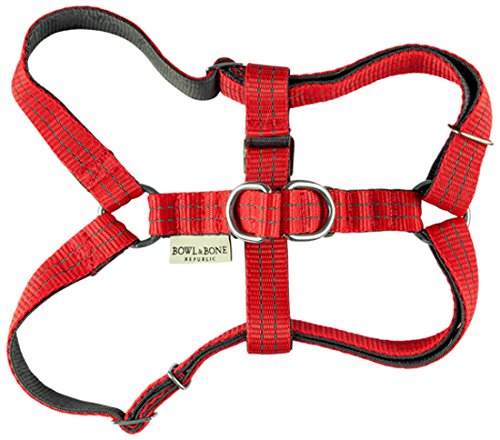 Harness Active Red L | Bowl & Bone