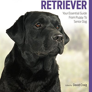 Labrador Best Of Breed - Paperback