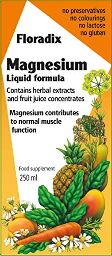 Floradix Magnesium Liquid Mineral Supplement x 1