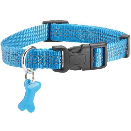 Collar Safe Blue 10