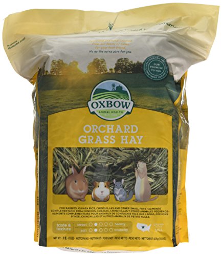 Oxbow Orchard Grass 425G | Petlife International Ltd