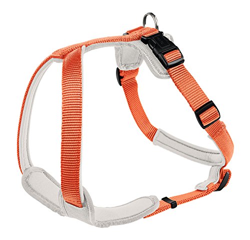 Harness Neoprene Xxl 81-100 Cm, 25 Mm Nylon Orange/Neoprene Creme | Hunter